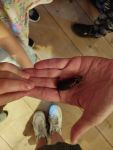 Img 20230629 094321