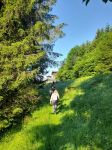 Img 20230531 Wa0048