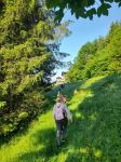 Img 20230531 Wa0054