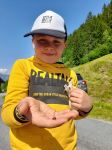 Img 20230531 Wa0064