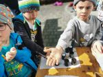 Img 20230322 103303