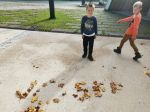 Img 20221012 110249