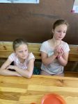 Img 0377