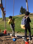 Img 9631