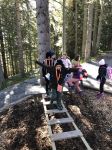 Img 9650