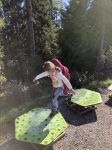 Img 9661