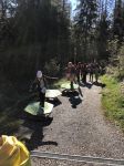 Img 9664