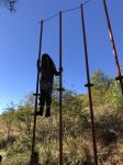 Img 9678