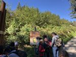 Img 9699