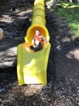 Img 9713