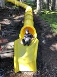 Img 9714