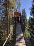 Img 9752