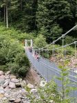 Img 0583