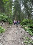 Img 0596