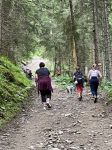 Img 0598