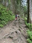 Img 0626