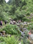 Img 0643