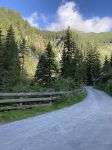 Img 0708
