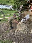 Img 0722