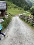 Img 0739