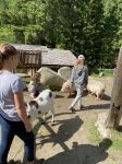 Img 0754
