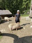Img 0756
