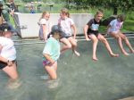 Img 4253