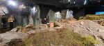 Img 20220929 Wa0017