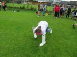 Img 4801