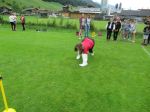 Img 4804