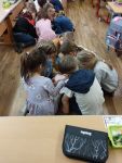 Img 20240207 102357
