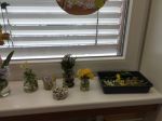 Img 20240404 100224