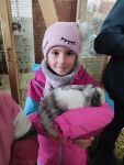 Img 20231220 113335