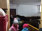 Img 20231220 113517