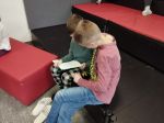 Img 20240209 105419