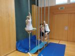 Img 20240308 075113