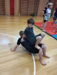 Img 20231123 081544