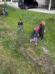 Img 7491
