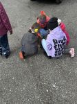 Img 7492