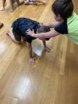 Img 3134