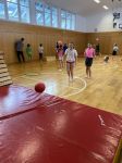 Img 3365