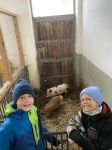 Img 0208