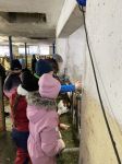 Img 0218