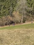 Img 1076