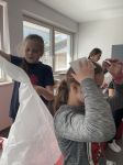 Img 1544
