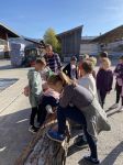 Img 2601