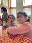 Img 2660