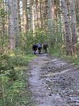 Img 2437
