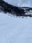 Img 0240