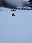 Img 0243